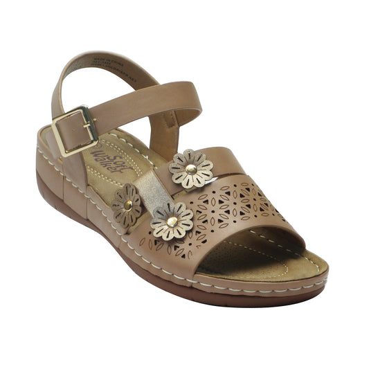 Damas 6657
